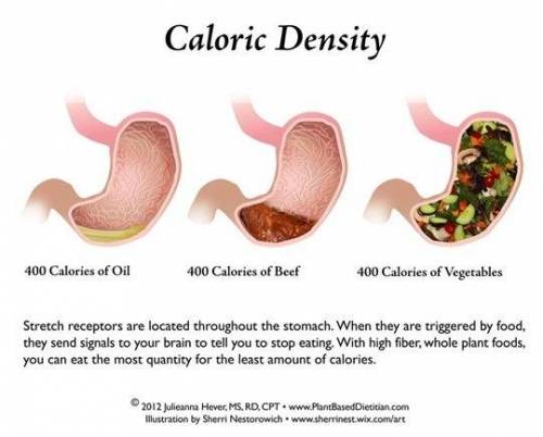 같은 400kcal, 다른 양.jpg