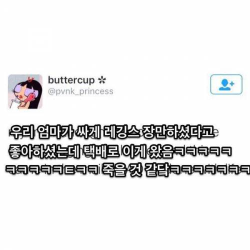 어머니 바비인형설