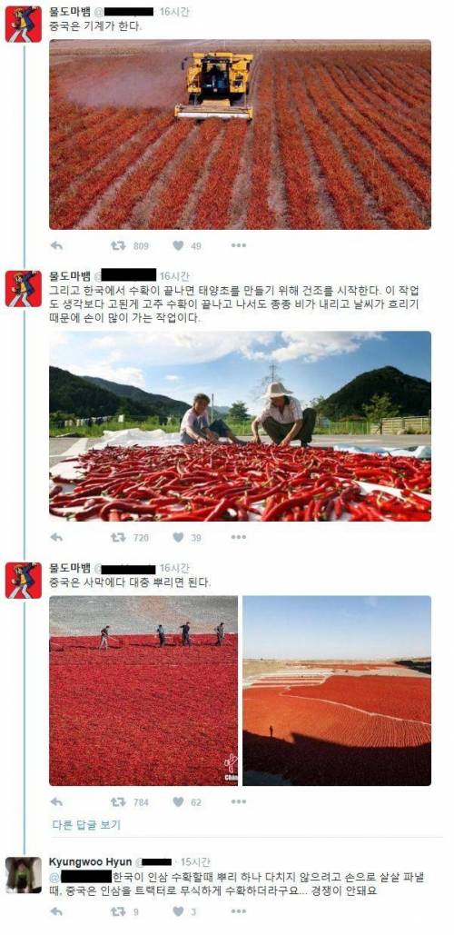 한국과 중국의 고추 농사.jpg