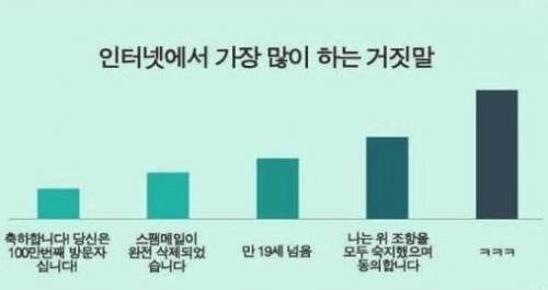 인터넷에서 가장 많이 하는 거짓말