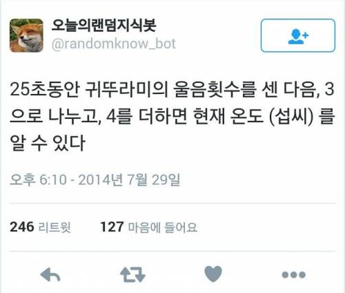 귀뚜라미에 대한 희한한 사실