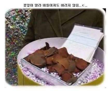 팬을 생각하는 서태지의 마음.jpg