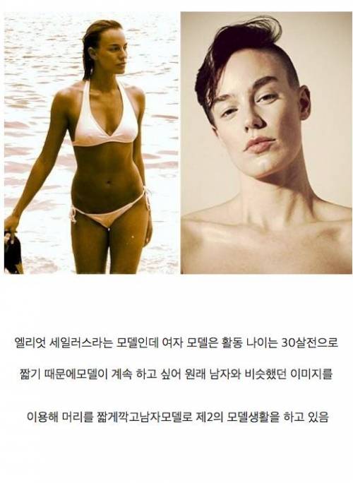 양쪽을 다 만족 시키는 모델