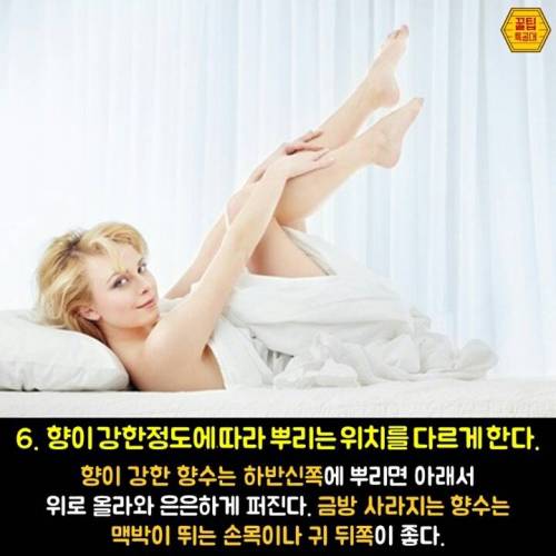 향수 제대로 뿌리는 7가지 방법