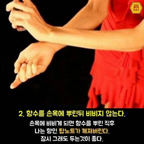 향수 제대로 뿌리는 7가지 방법