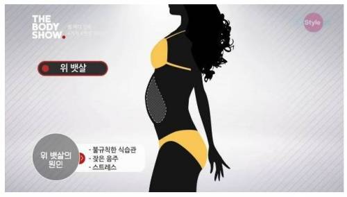 여자들 유형별 뱃살.jpg