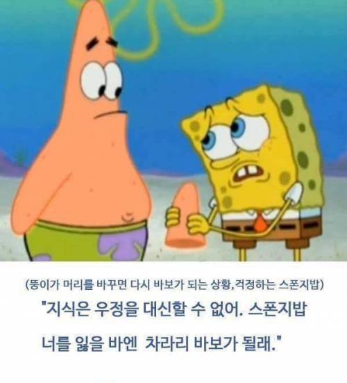 스펀지밥 뚱이 (별가) 명언 레전드