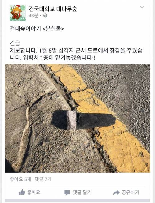 자연광에 그림자가 두 개인 돌