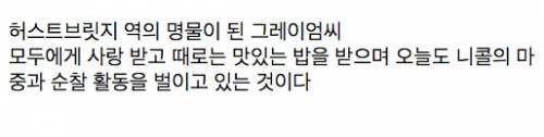 매일 역까지 배웅하고 귀가시간에 마중 나오는 고양이