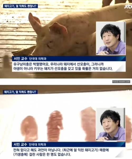 돼지고기 덜익혀 먹어도.jpg