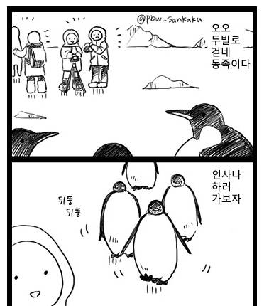 남극에서 마주치는 위협.jpg