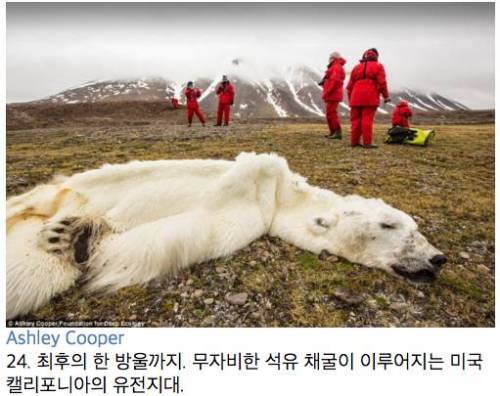 인류가 처한 위기를 보여주는 사진들