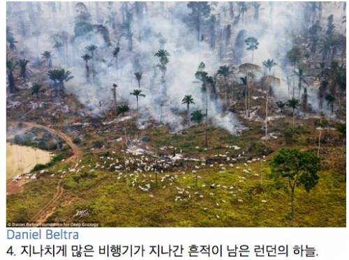 인류가 처한 위기를 보여주는 사진들