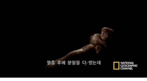 잘린 손가락 재생.jpg