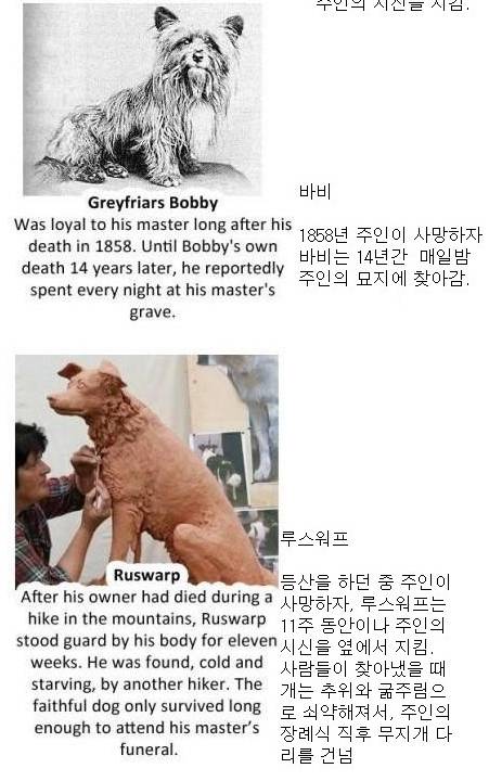 인간의 영원한 친구.jpg