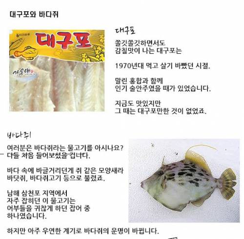 대구포와 바다쥐.jpg