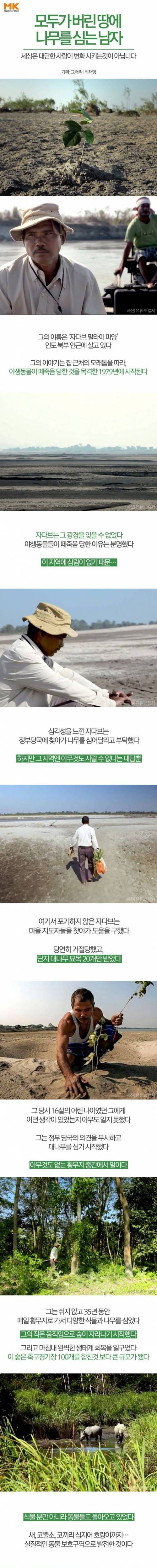 모두가 버린 땅에 나무를 심는 남자