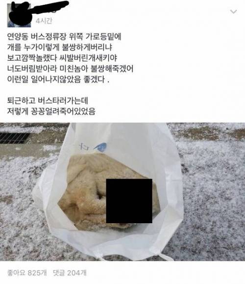 비참하게 얼어죽은 애견.jpg