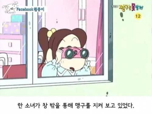 [스압]맹구이야기.jpg