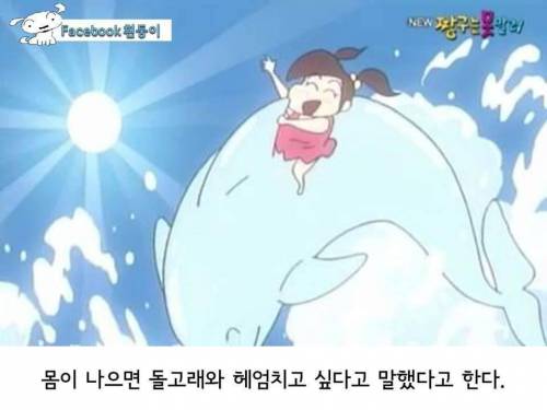 [스압]맹구이야기.jpg