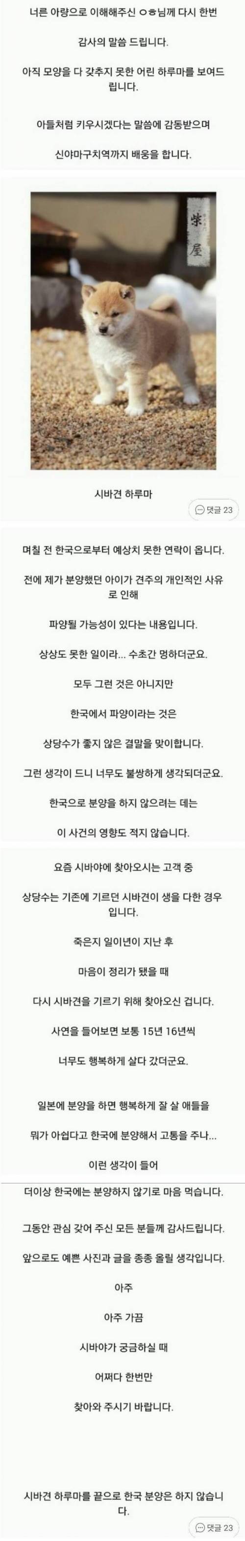 이제 한국으로의 시바견 분양은 하지 않습니다.