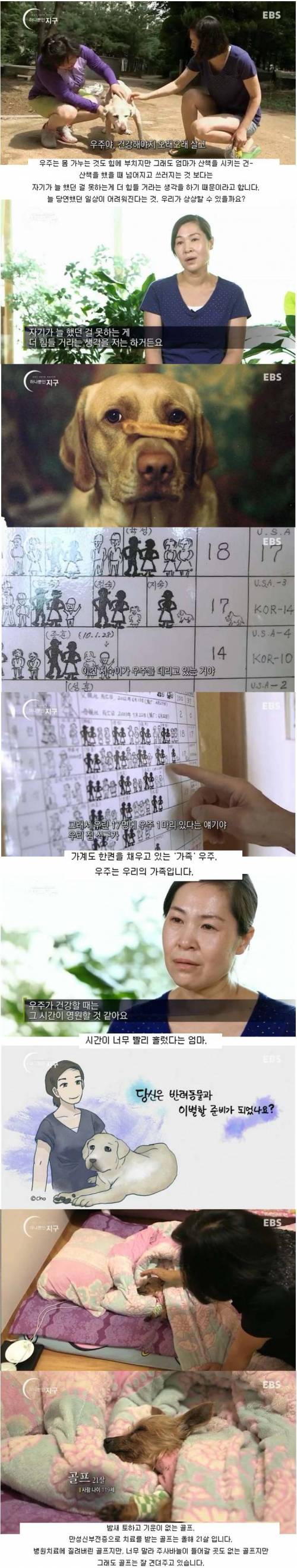 [스압]당신은 반려동물과 이별할 준비가 되었나요?