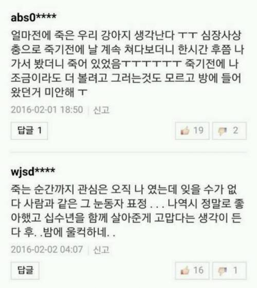 반려견과 이별한 사람들