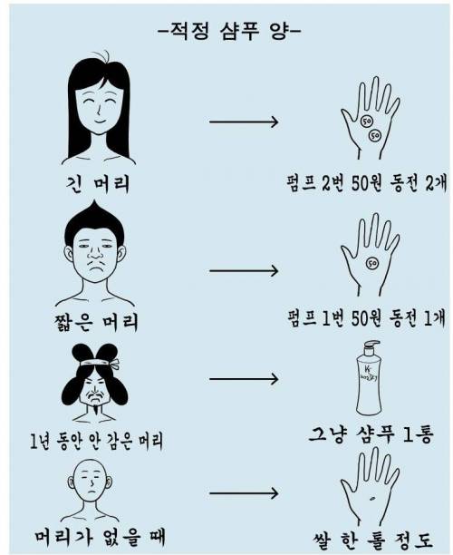 적정 샴푸량.jpg