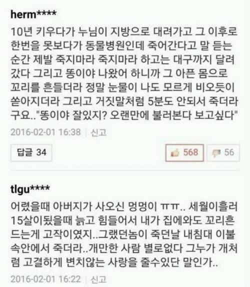 반려견과 이별한 사람들