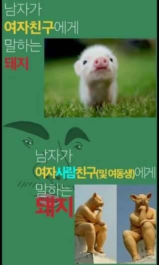 남자가 여자에게 말하는 돼지란?