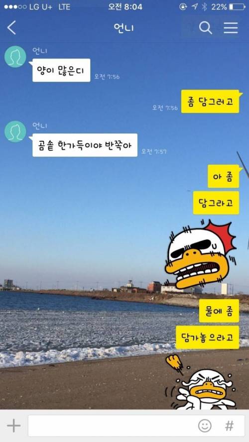 사골 처음 대하는 언니jpg