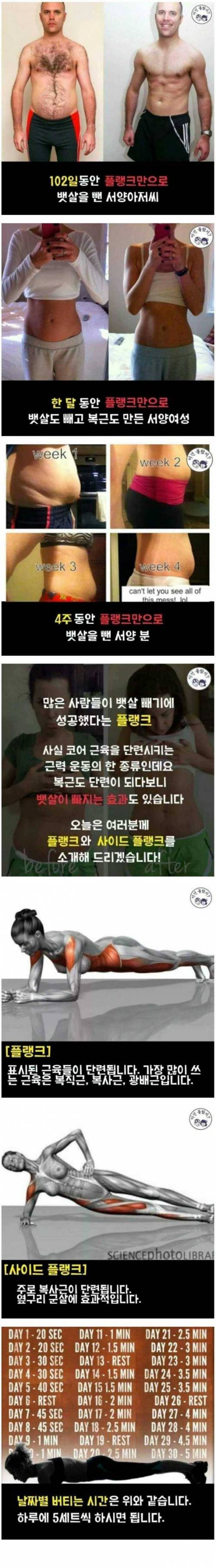 플랭크 복근 운동.jpg