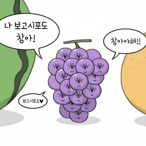 야채,과일들의 사랑고백