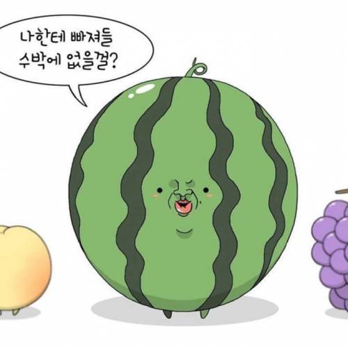 야채,과일들의 사랑고백