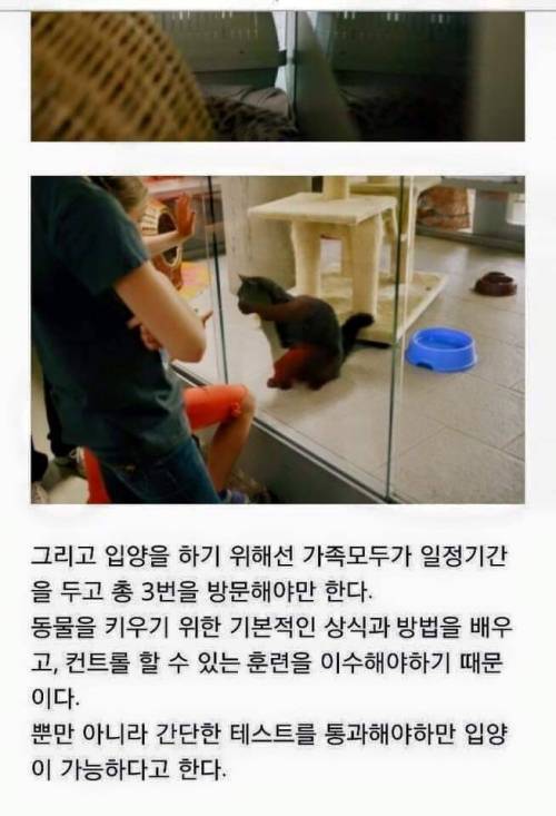 선진국 독일의 애완동물 입양제도 .jpg