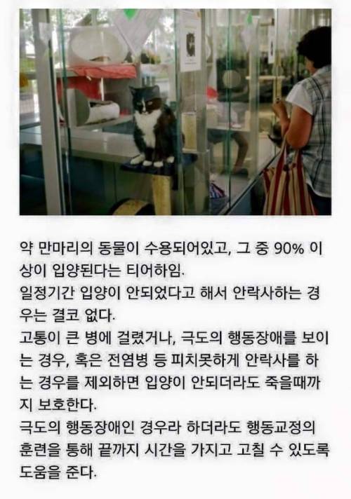 선진국 독일의 애완동물 입양제도 .jpg