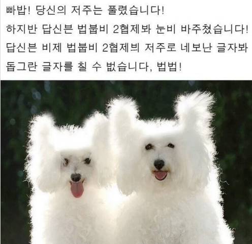 보랜반베 보는 저주받븐 갑바지 시리즈