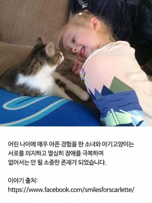 발 잃은 고양이와 한팔 없는 소녀의 이야기..jpg