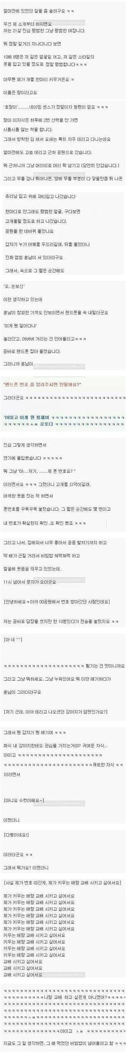 강아지 데리고 산책 간 썰.txt