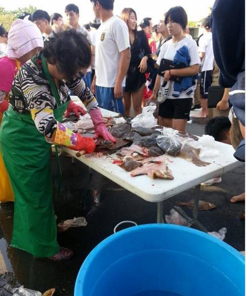 흔한 대학교 축제 주점.jpg