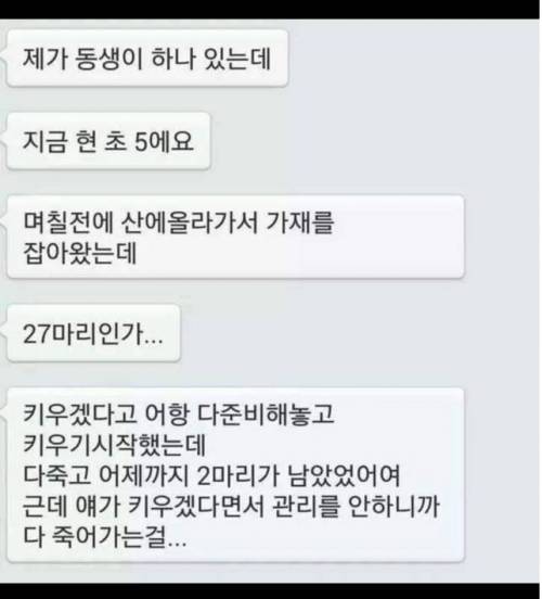 동생이 키우던 가재가 죽어가길래