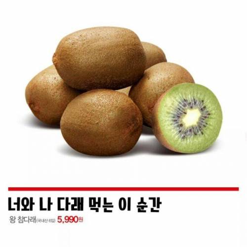 프로듀스로 홍보하는 홈플러스