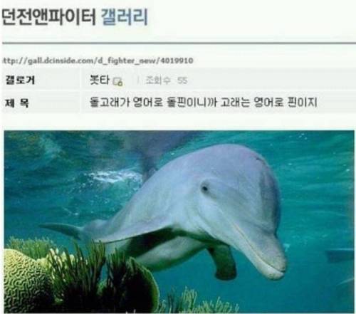 기적의 논리