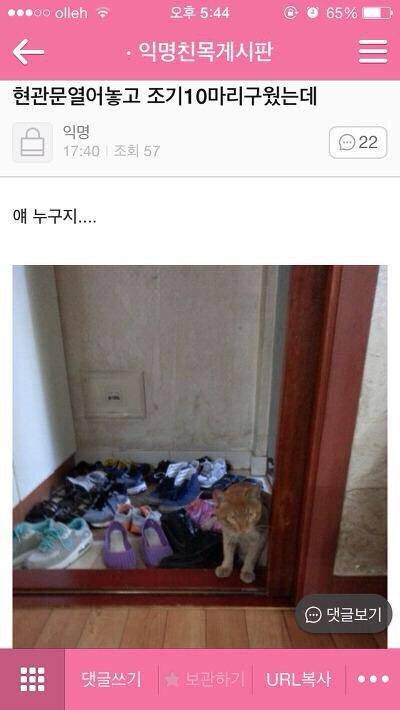 현관문 열어놓고 조기를 구었는데.jpg