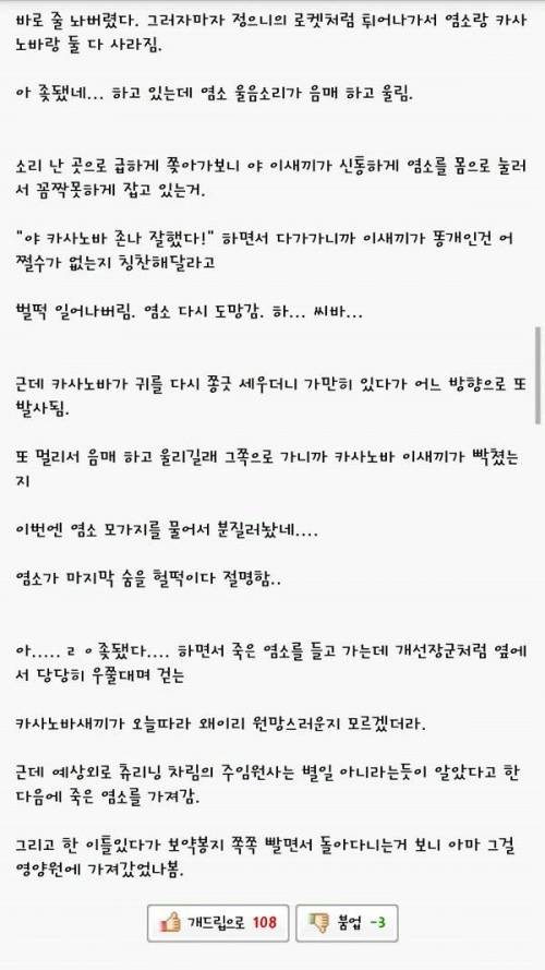 군대 새끼염소 썰.jpg