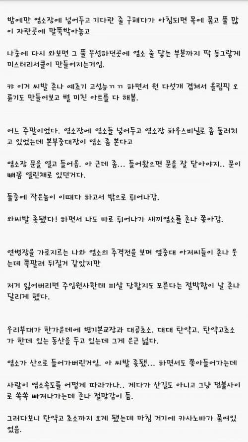 군대 새끼염소 썰.jpg