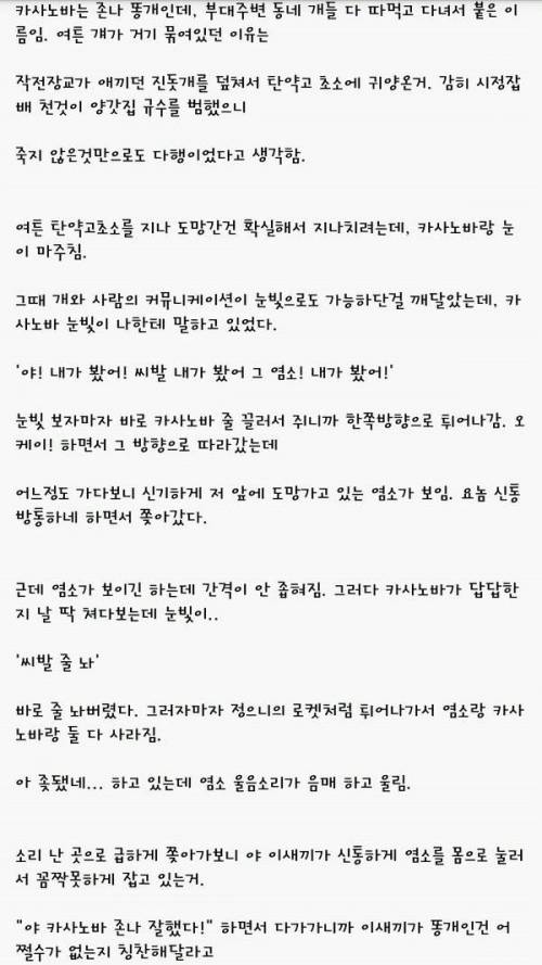 군대 새끼염소 썰.jpg