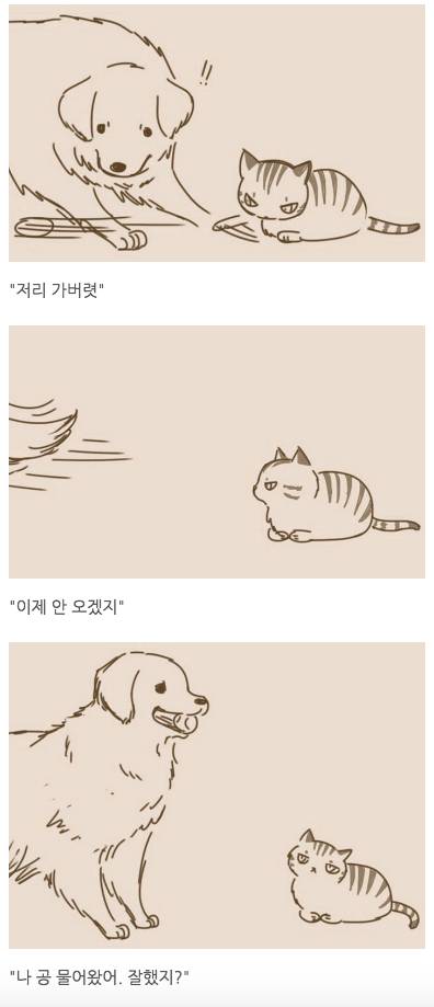 고양이와 강아지가 친구가 될수 없는 이유