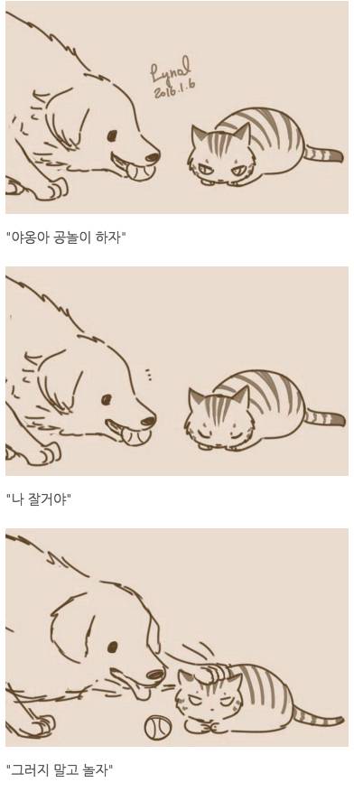 고양이와 강아지가 친구가 될수 없는 이유