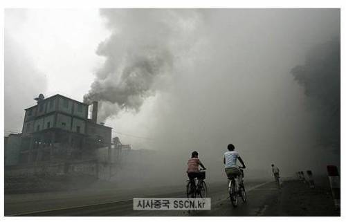 중국인들이 우리나라가 깨끗하다고 할 때